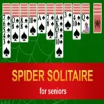 Spider Solitaire For Seniors