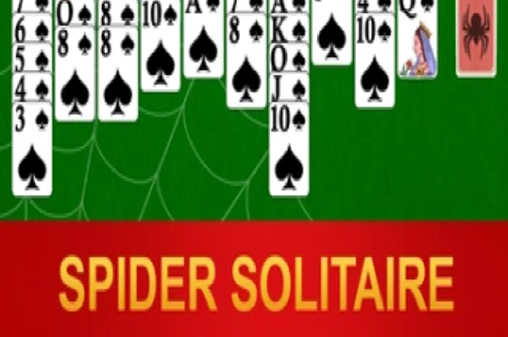 Spider Solitaire For Seniors