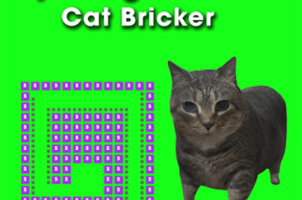 Spinning Uia Uia Cat Bricker